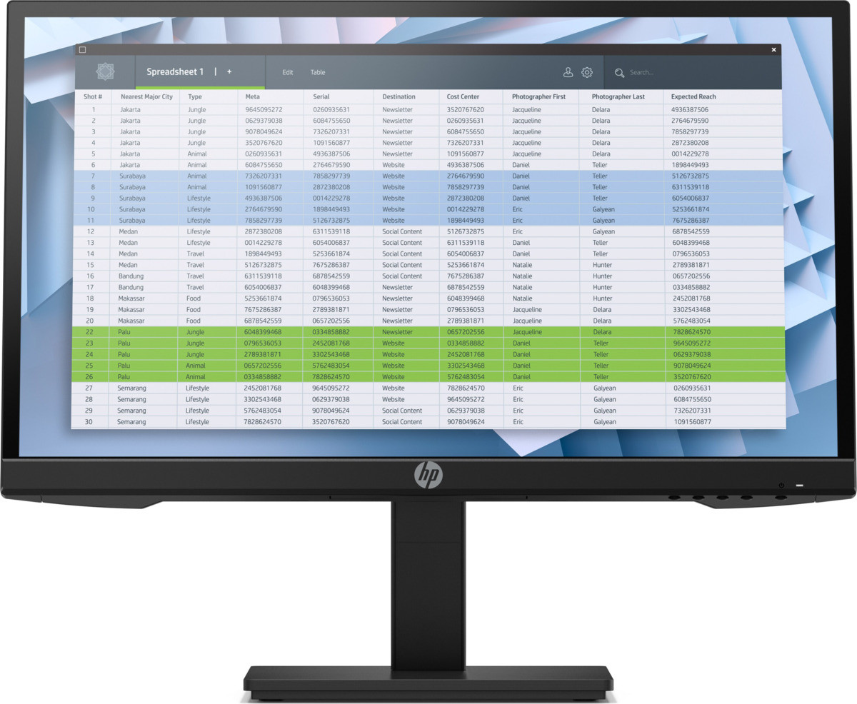 Moniteur Écran 21,5" Full HD HP P22 G4 (54,61 cm) VGA, HDMI, DisplayPort