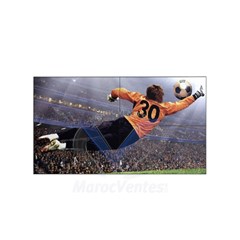 Mur D'image 49" (124,5 cm) IPS 3,5mm 500cd/m2 49VL5G-M