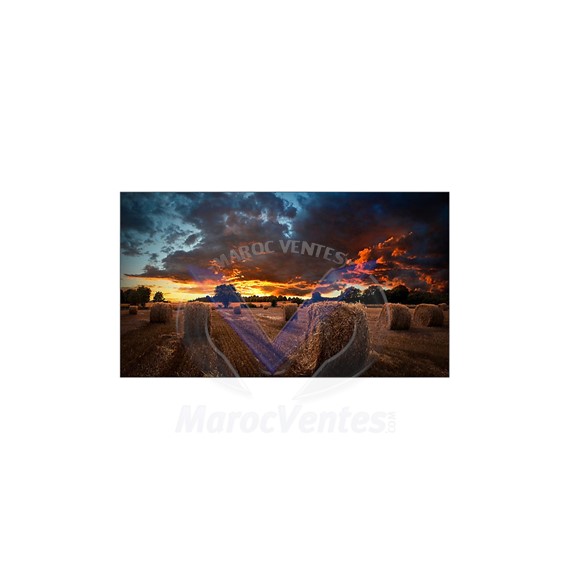 Mur Vidéo avec Cadre Ultra Fin VM55B-U 55 POUCES LH55VMBUBGBXEN
